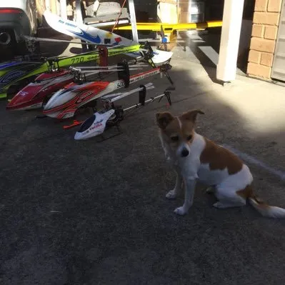 A description of my image.